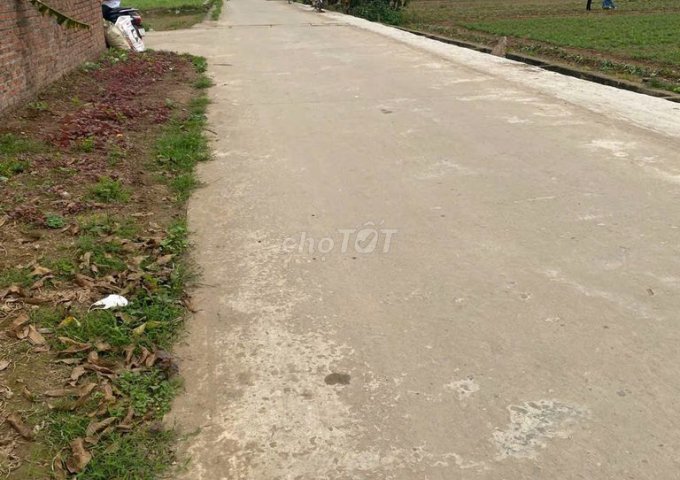 Chính chủ cần bán đất nền Sen Phương - Phúc Thọ full thổ cư lô góc 360m2