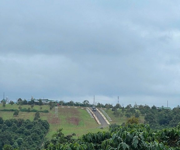 Cần Bán Ngay Đất Chính Chủ Thổ Cư Tại Di Linh, Lâm Đồng