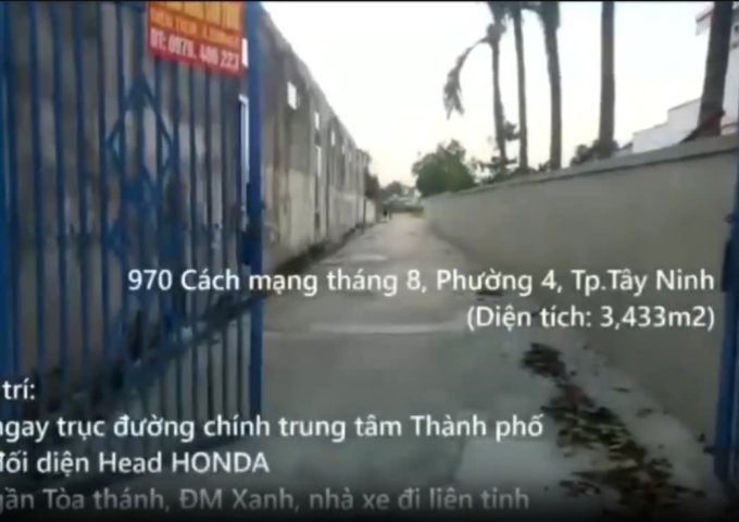 Chính chủ cần cho thuê lô đất vị trí đẹp - khả năng sinh lời cao