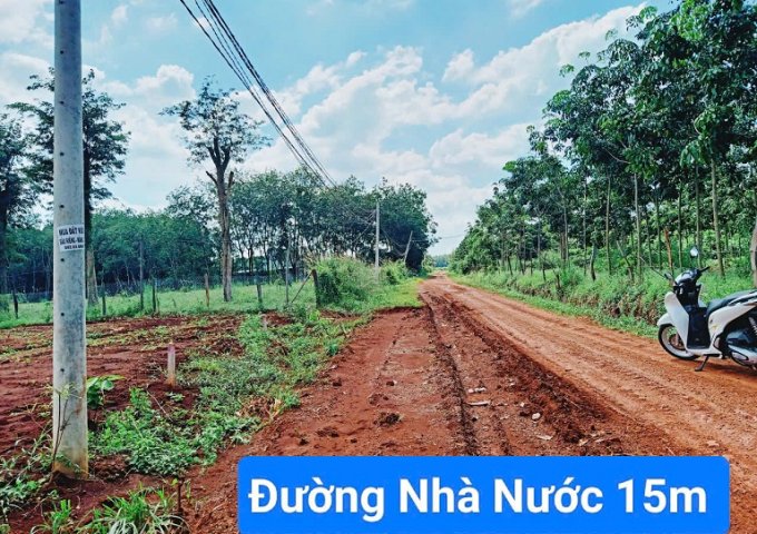 CHÍNH CHỦ BÁN ĐẤT TẠI LỘC QUANG - LỘC NINH - BÌNH PHƯỚC.