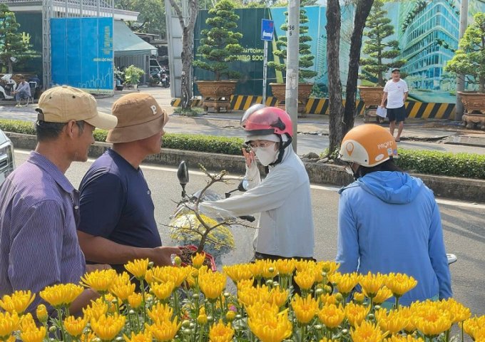 CHUYÊN CUNG CẤP HOA SỈ LẺ TOÀN QUỐC GIÁ SIÊU RẺ - HOA BAO ĐẸP CHẤT LƯỢNG