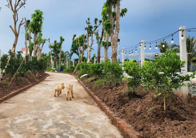 Chuyển Nhượng Lô Đất Thuộc Xã Tân Phong- Huyện Kiến Thụy- Hải Phòng