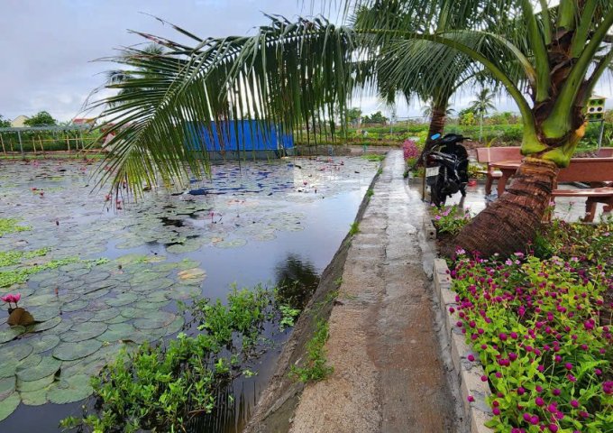 Chuyển Nhượng Lô Đất Thuộc Xã Tân Phong- Huyện Kiến Thụy- Hải Phòng