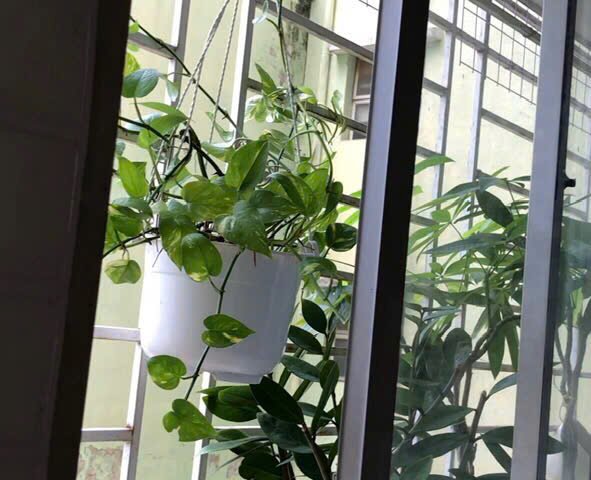 Chính chủ cần bán căn hộ tại An Phú - Thủ Đức