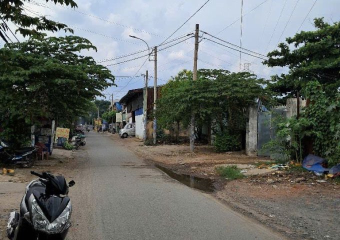 ĐẤT (8x71) MẶT TIỀN AN PHÚ ĐÔNG 35, Q12 (MT NỘI BỘ QL1A) GIÁ 15 TỶ