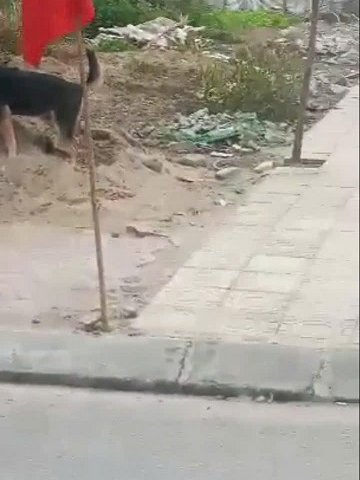 Cần Bán Nhanh Lô Góc Tại TDP Bầu Cừu - Thanh Châu - TP Phủ Lý - Hà Nam