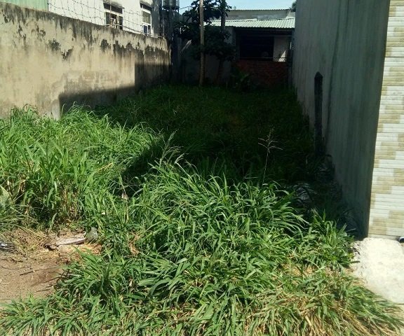 Bán Đất Xã Tân Thạnh Đông, Huyện Củ Chi, HCM