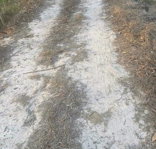 CẦN BÁN LÔ ĐẤT ĐẸP TẠI NHƠN TRẠCH ĐỒNG NAI