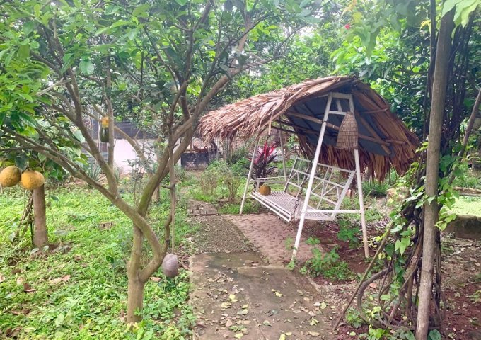 Bán đất khai hoang làm khu nghỉ dưỡng bãi sông hồng hoặc cho thuê đất để kinh doanh