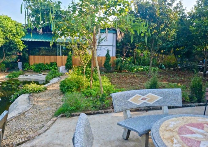 Bán đất khai hoang làm khu nghỉ dưỡng bãi sông hồng hoặc cho thuê đất để kinh doanh