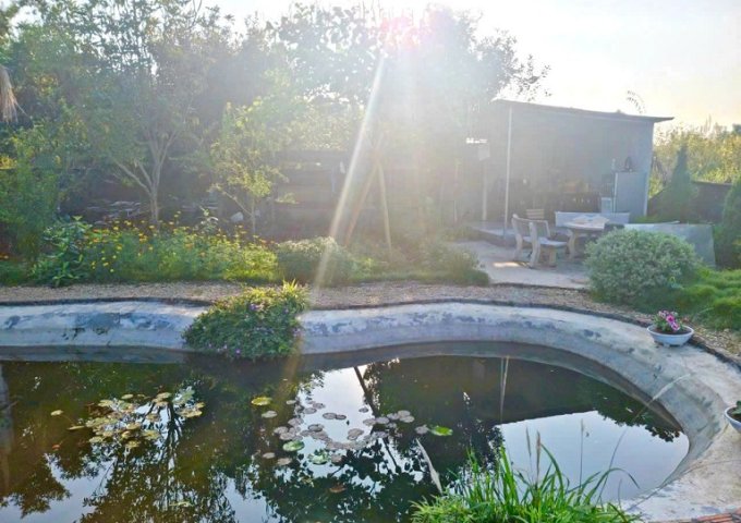 Bán đất khai hoang làm khu nghỉ dưỡng bãi sông hồng hoặc cho thuê đất để kinh doanh