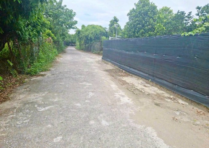 Bán đất khai hoang làm khu nghỉ dưỡng bãi sông hồng hoặc cho thuê đất để kinh doanh