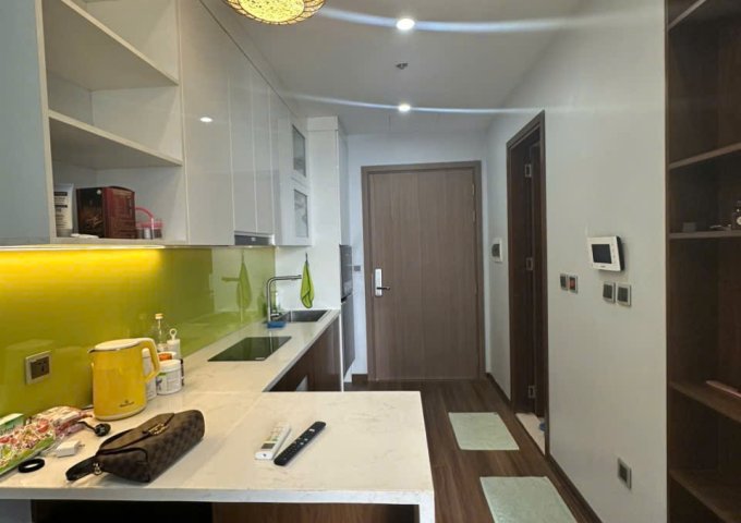 Cho thuê studio chung cư Vinhomes Green Bay đủ đồ. View hồ thoáng mát