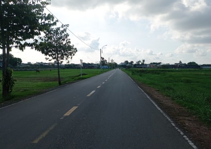 (4) Bán đất lớn mặt tiền, đường xe container, 9.310m2, Huyện Hóc Môn giảm giá 50 tỷ + x tỷ