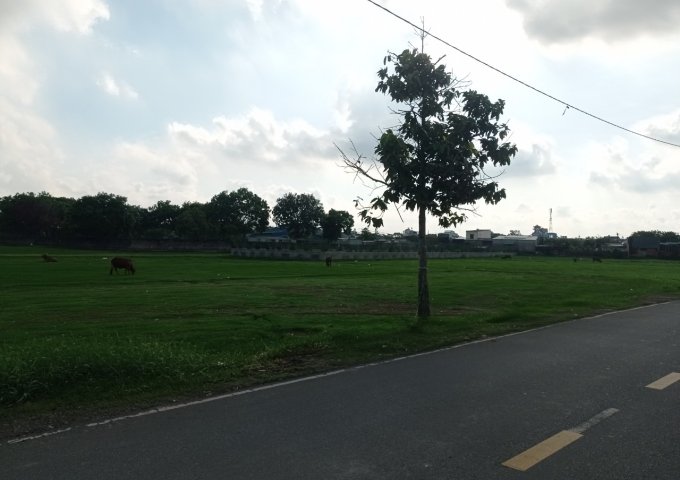 (4) Bán đất lớn mặt tiền, đường xe container, 9.310m2, Huyện Hóc Môn giảm giá 50 tỷ + x tỷ