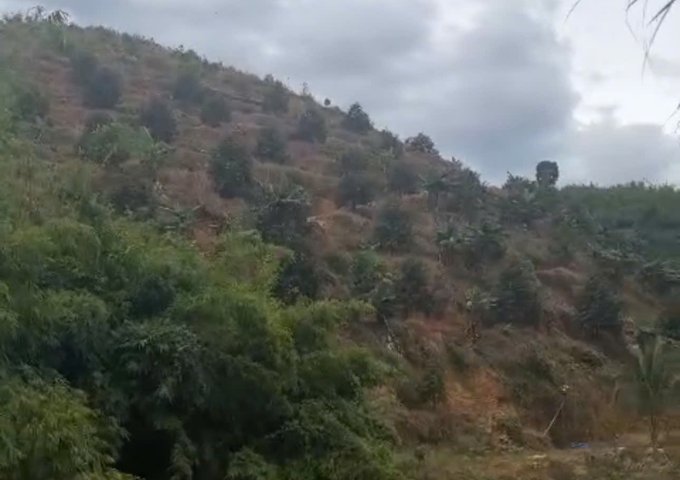 CHÍNH CHỦ CẦN BÁN ĐẤT THUỘC XÃ ĐẠ LÂY HUYỆN ĐẠ HUOAI LÂM ĐỒNG