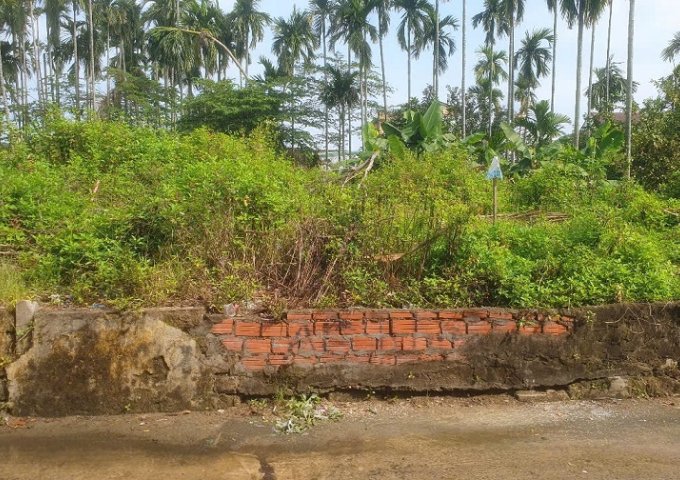 Chào bán lô đất tại Hội An, Quảng Nam với diện tích 645m2 .