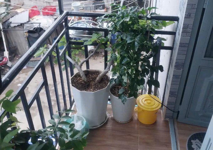 Chính chủ cần bán nhà nguyên căn tại Phường Linh Tây. Thủ Đức