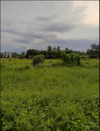 Chính chủ bán đất Đường 177 xã Bình Mỹ, Củ Chi, DT 102,4 m2