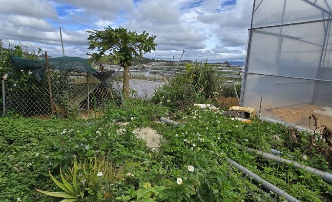 Gửi bán lô đất Trại Mát - Phường 11 - TP Đà Lạt. Cách đường Chính Huỳnh Tấn Phát chỉ 3_4p