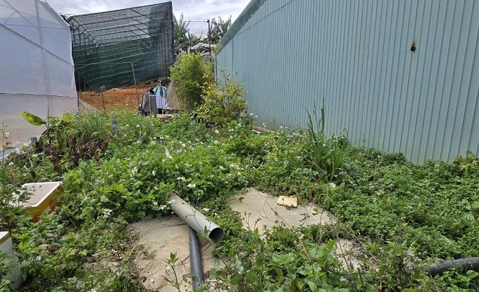 Gửi bán lô đất Trại Mát - Phường 11 - TP Đà Lạt. Cách đường Chính Huỳnh Tấn Phát chỉ 3_4p