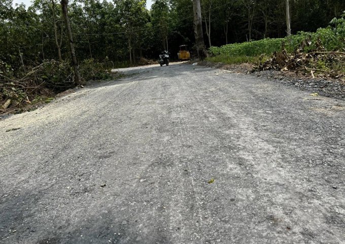 Bán 5 lô đất vị trí đẹp ấp Thạnh Phú, xã Tân Hiệp mới, huyện Tân Châu, tỉnh Tây Ninh.