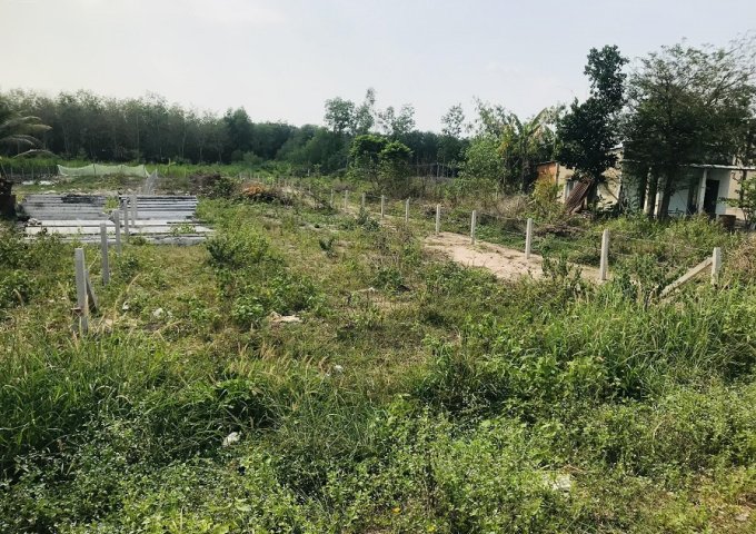 Chính chủ cần bán lô đất mặt tiền đường ĐT 744, xã Minh Hòa, huyện Dầu Tiếng, tỉnh Bình Dương.