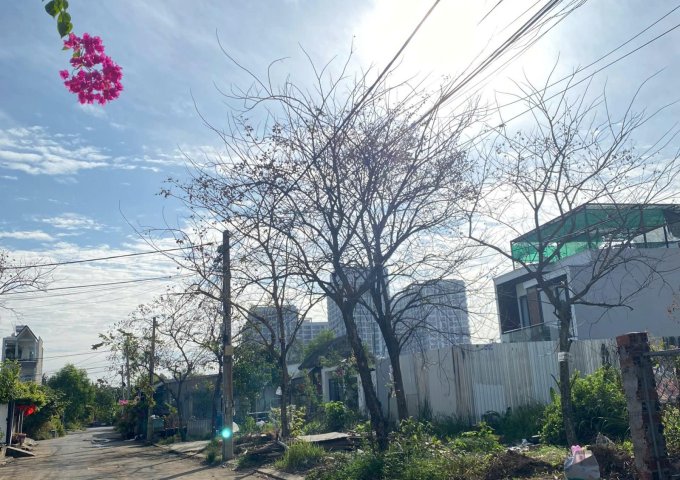 Lô Đất Siêu Đẹp 125m2( 8 x 16 ) , KDC Trường Lưu Gần Chợ Long Trường , Q 9, Chỉ 4.6 Tỷ TL