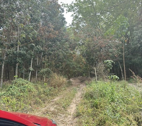 Chính chủ bán 2188m2 đất tại Hoà Lợi, Bến Cát.