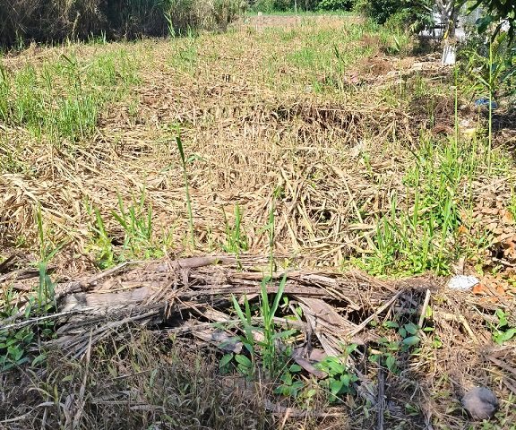 Bán nền biệt thự mặt tiền đường 3-2 thành phố Ngã Bảy Hậu Giang