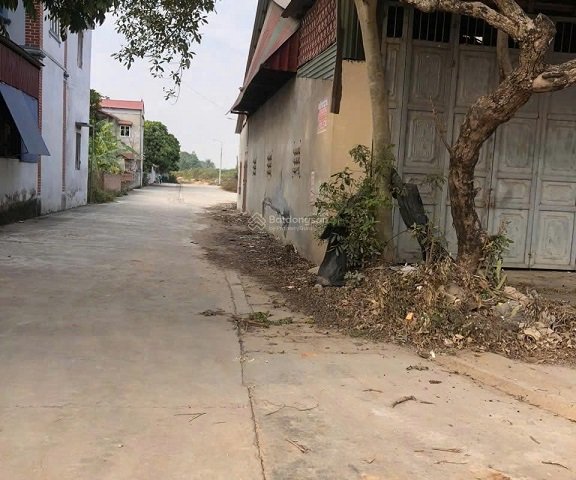 Chính chủ cho thuê nhà riêng DT 330m2, Mặt Đường Lớn, Giao Thông Thuận Tiện Tỉnh lộ 295, Xã Ngọc Châu, Tân Yên, Bắc Giang