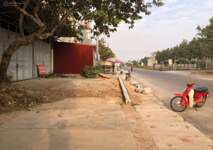 Chính chủ cho thuê nhà riêng DT 330m2, Mặt Đường Lớn, Giao Thông Thuận Tiện Tỉnh lộ 295, Xã Ngọc Châu, Tân Yên, Bắc Giang