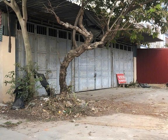 Chính chủ cho thuê nhà riêng DT 330m2, Mặt Đường Lớn, Giao Thông Thuận Tiện Tỉnh lộ 295, Xã Ngọc Châu, Tân Yên, Bắc Giang