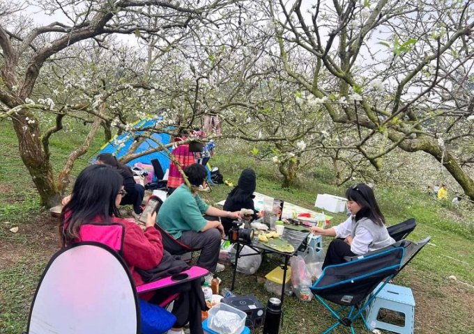 BÁN ĐẤT BẢN DỌI - TÂN LẬP - MỘC CHÂU - SƠN LA.