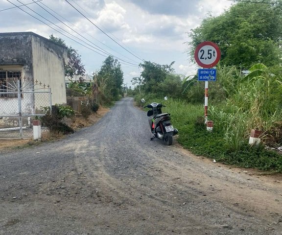 CHính chủ cần bán đất 1234,5m2 - ấp Bình Trinh, xã Đồng Sơn, Huyện Gò Công Tây, Tỉnh Tiền Giang.