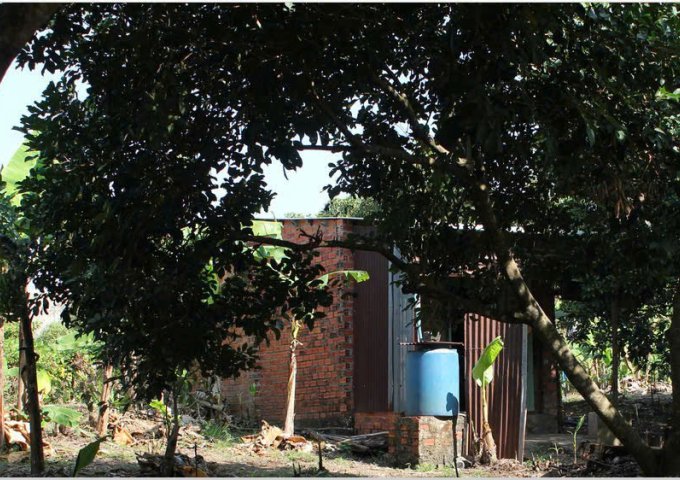 Bán đất vườn 750tr diện tích 2500m2