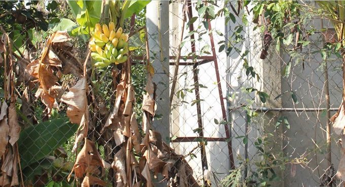 Bán đất vườn 750tr diện tích 2500m2