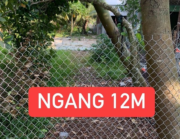 Bán Đất Tại Thị Trấn Ngã 6 Châu Thành, Hậu Giang