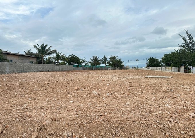 Chính chủ cần bán nhanh 03 lô đất liền kề có khả năng sinh lời cao