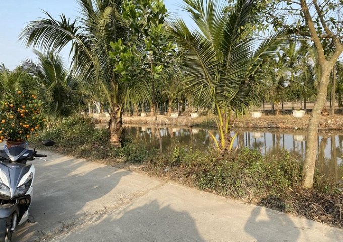 Đất sổ đỏ 400m2 Đội 6, xã Yên Phú - Ý Yên- Nam Định