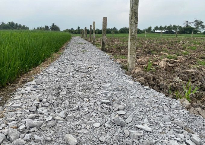 Bán đất chính chủ ngang 9,22m nở hậu 9,9m dài 63,54m tổng diện tích 704,7mv đất cây lâu năm có 100mv thổ cư