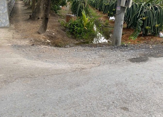 Bán đất chính chủ ngang 9,22m nở hậu 9,9m dài 63,54m tổng diện tích 704,7mv đất cây lâu năm có 100mv thổ cư