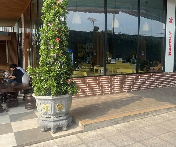 Cho Thuê Đất Hoặc Nhà Đường Cây Keo, Phường Tam Phú, Thủ Đức - Khách Có Thể Chọn 1 hoặc 2 LH Chị Nương: 0905 355 766