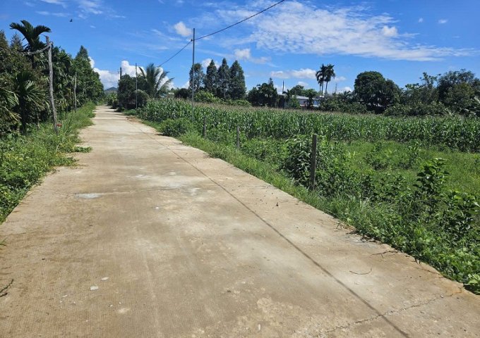 CHÌNH CHỦ CẦN BÁN LÔ ĐẤT TẠI LÂM ĐỒNG