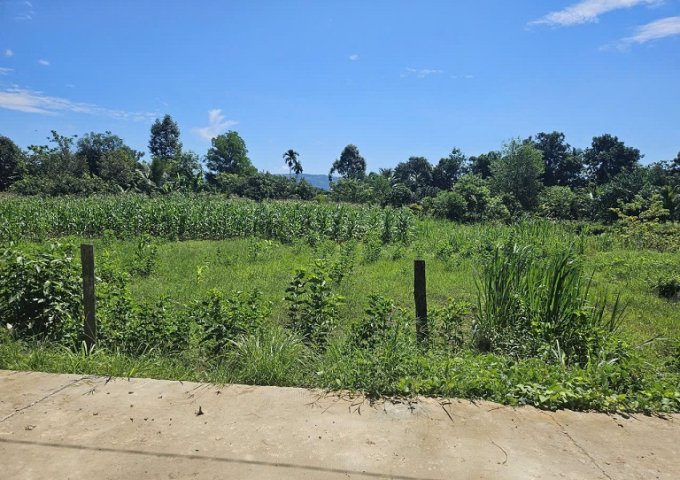 CHÌNH CHỦ CẦN BÁN LÔ ĐẤT TẠI LÂM ĐỒNG