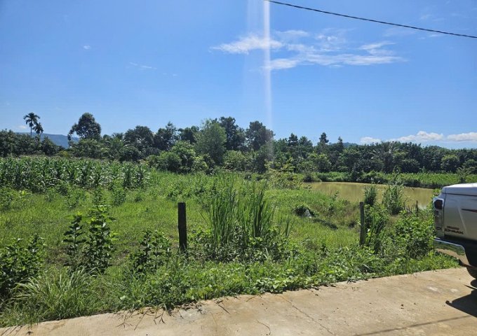 CHÌNH CHỦ CẦN BÁN LÔ ĐẤT TẠI LÂM ĐỒNG