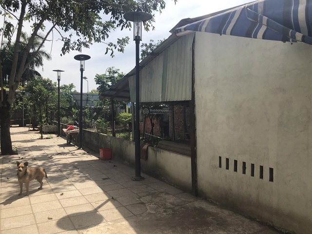 Đất đã có ranh, rào rõ ràng, cho thuê giá rẻ, kết nối được internet, điện nước và cống.