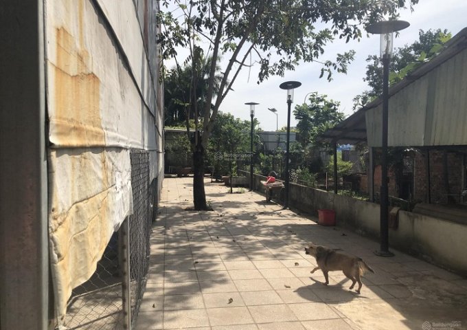 Đất đã có ranh, rào rõ ràng, cho thuê giá rẻ, kết nối được internet, điện nước và cống.