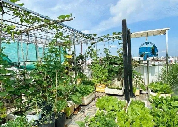 Gia đình về định cư tại Hà Nội Bán Căn Nhà 3 tầng mâm đúc đẹp lung linh tại hẻm liên tổ 3/4 Nguyễn Văn Cừ Gần Trường ĐH Y Dược Cần Thơ.