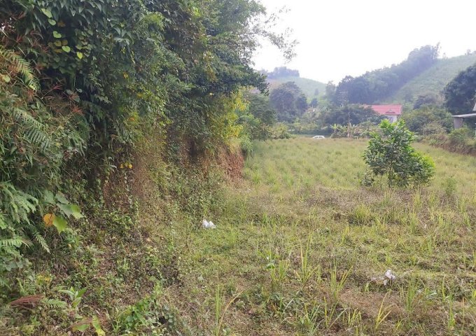 Chính Chủ Bán Đất 2 Mặt Tiền Đẹp, Khu Đắc Địa Ngay Thạch Thành, Thanh Hóa.